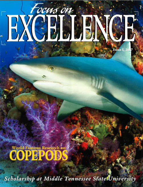 Excellence (Fall 2007)