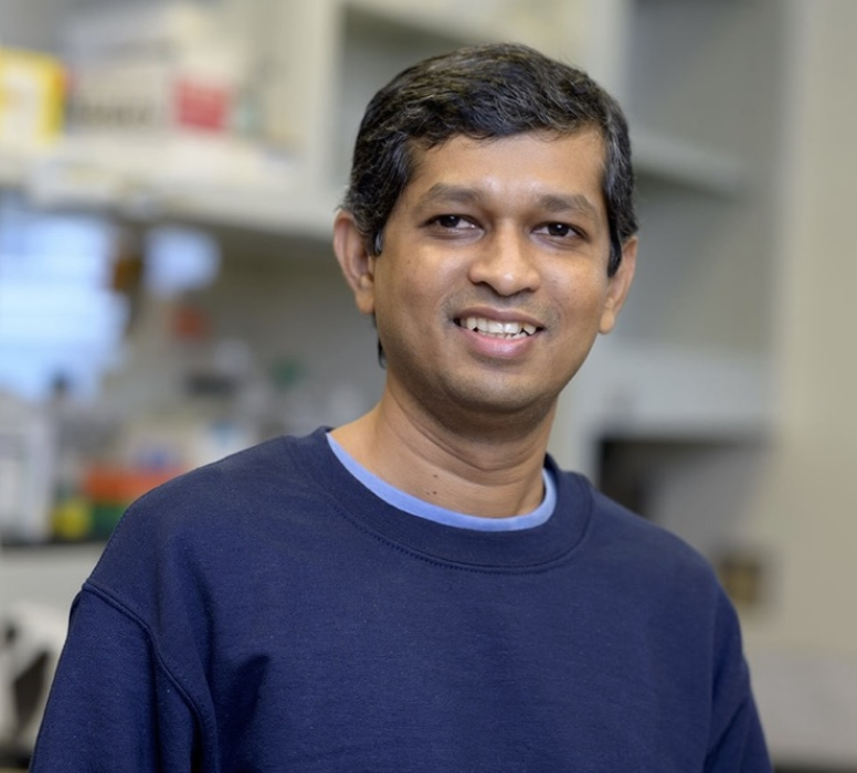 Dr. Gayan Senavirathne