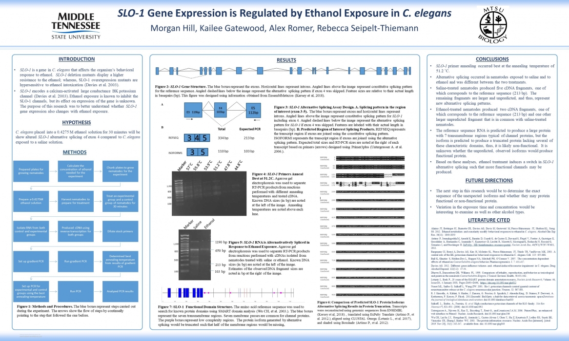 SLO-1 Gene Expression is Regulated by Ethanol Exposure in C. elegans 