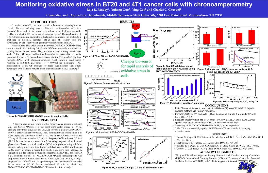 Monitoring oxidative stress in BT20 and 4T1 cancer cells with chronoamperometry
