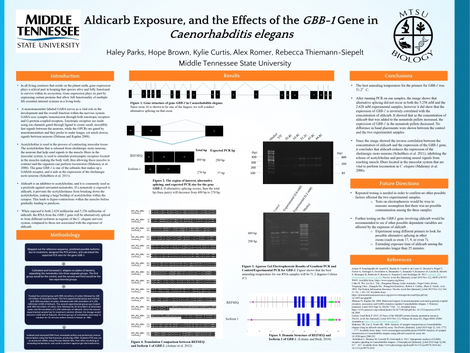 Aldicarb Exposure, and the Effects of the GBB-1 Gene in Caenorhabditis elegans