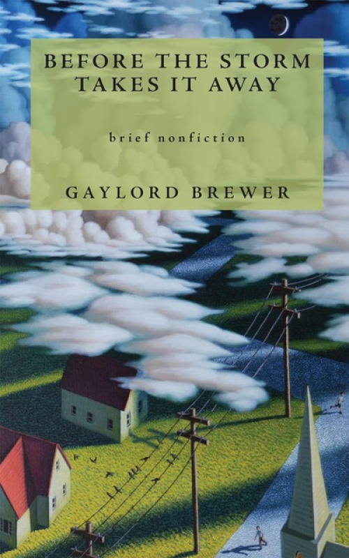 Brewer wins contest, releases new nonfiction