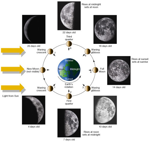 Lunar Phases